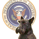 <p><h3>The First Dog</h3></p>
<p>Barney, the highest-ranking official to visit Iraq in months, had a full schedule:</p>
<ul class="bulleted">
<li><b>8 a.m. </b>Morning walk with generals on the ground </li>
<li><b>9 a.m. </b>"Sit-down" with troops</li>
<li><b>10:30 a.m. </b>Game of catch</li>
<li><b>12 p.m. </b>Lunch, photo ops </li>
<li><b>1 p.m. </b>Bathroom break</li>
<li><b>1:05 p.m.</b> Moment of silence for fallen soldiers</li>
<li><b>2 p.m. </b>Treats</li>
</ul>